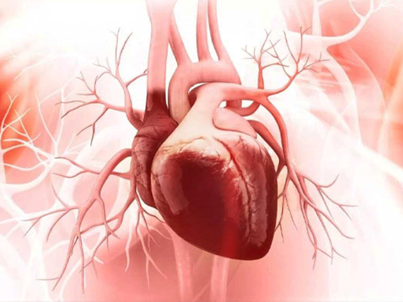 نارسایی-قلبی چیست؟