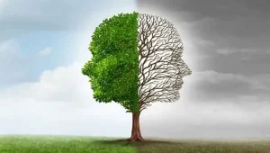 اختلال دو قطبی