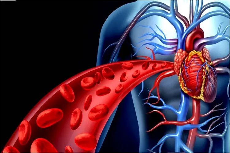 التهاب درون قلب