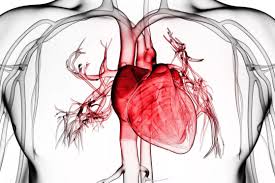 بیماری های قلب