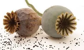 مسمومیت با مواد مخدر